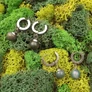 Kép 2/2 - dragon-ball-ihletesu-potara-fulbevalok-osszehasonlitva